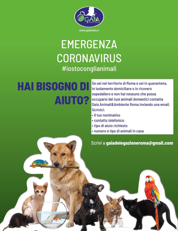 gaia roma emergenza coronavirus 91764717_1361335617393032_8655514529247002624_n - copia
